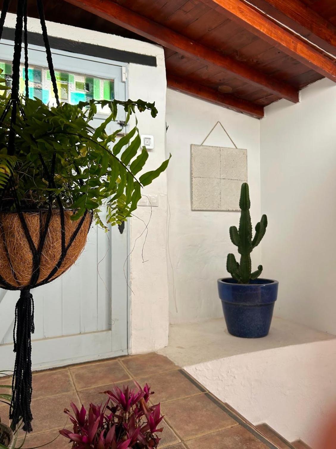 Casa Mialma Lanzarote Villa